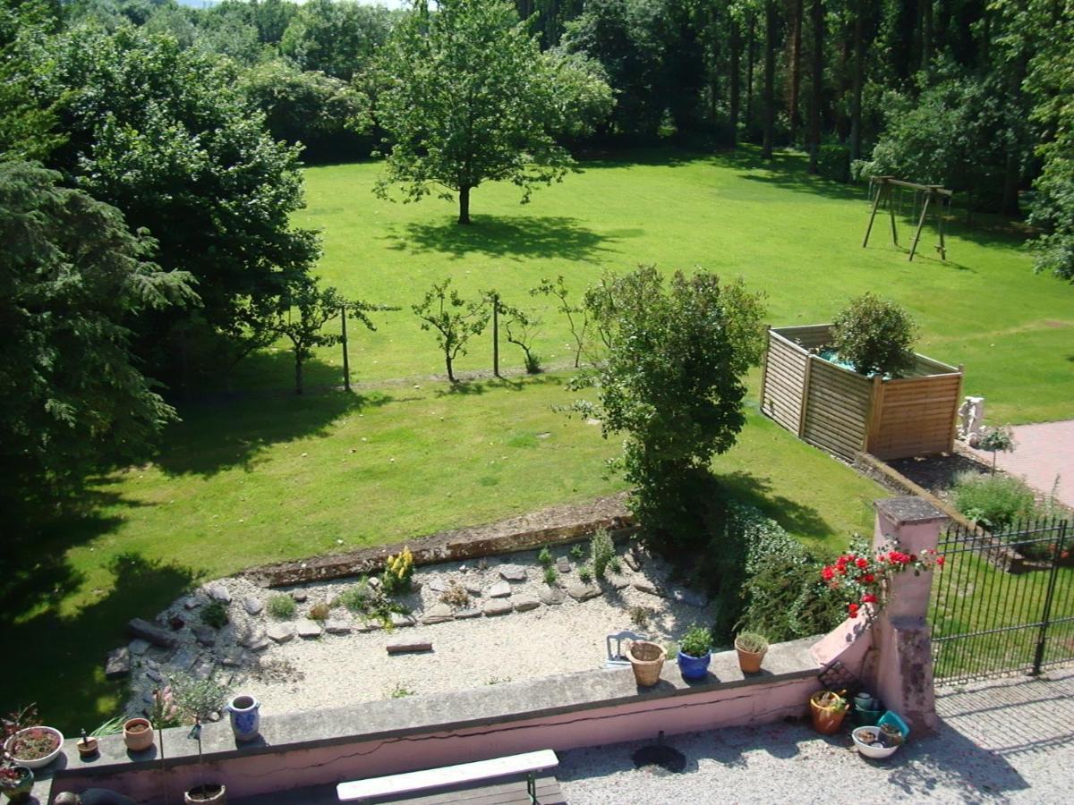 B&B Chateau Bagatelle Frasnes-lez-Anvaing Εξωτερικό φωτογραφία